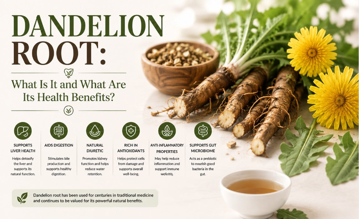 Dandelion Root: What Is It and What Are Its Health Benefits?
