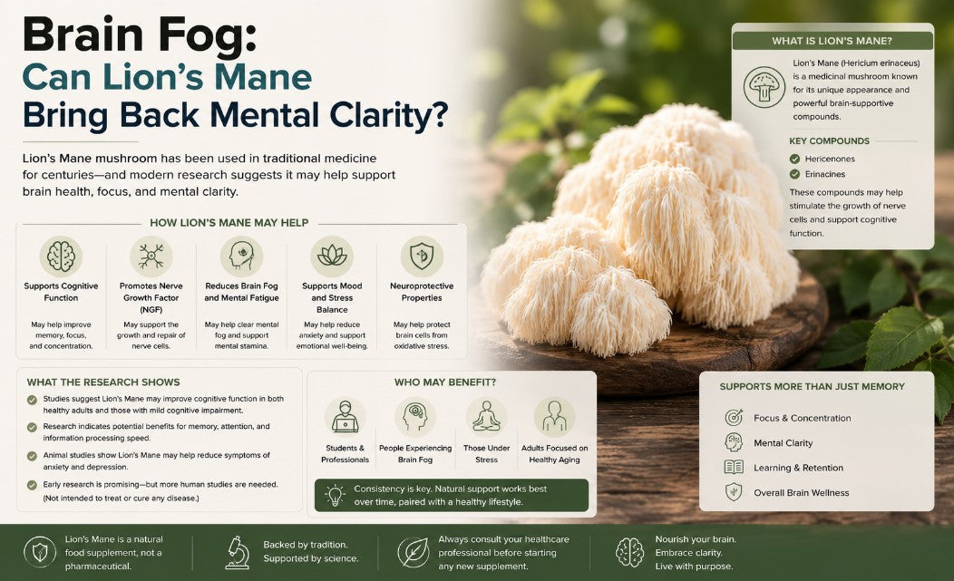 Brain Fog: Can Lion's Mane Bring Back Mental Clarity?