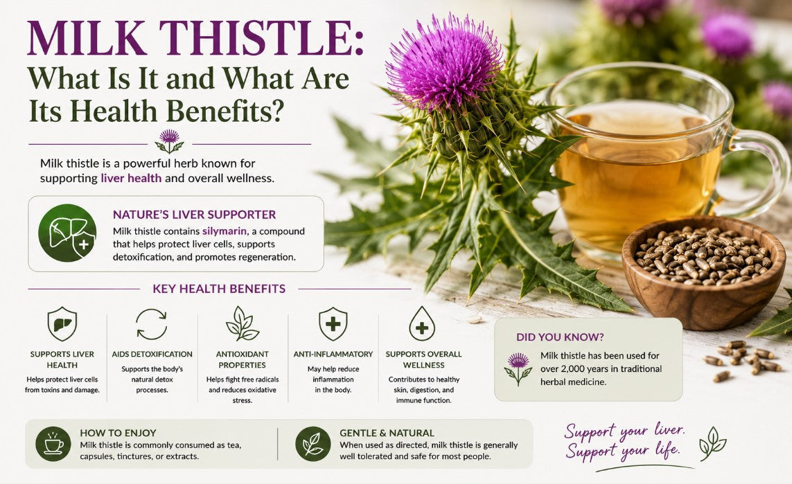 Milk Thistle: What Is It and What Are Its Health Benefits?