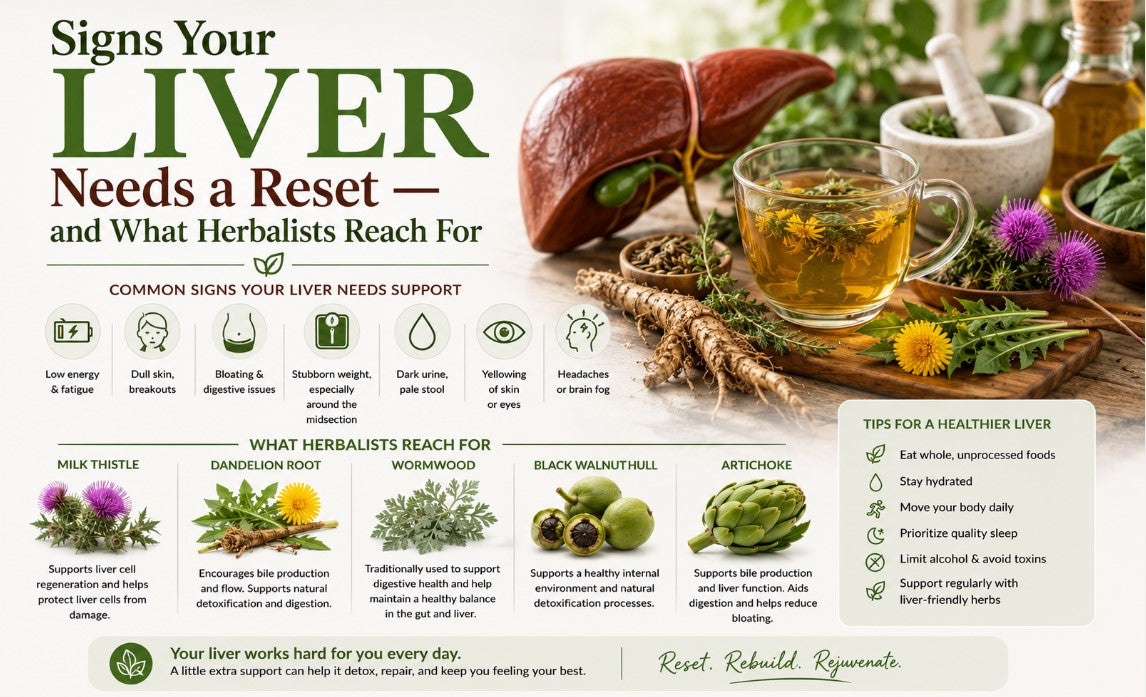 What Is Poke Root and What Are Its Beneficial Properties?