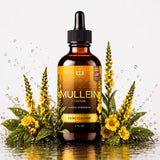 Mullein Leaf Extract - Supplement for Lung Health & Respiratory Support