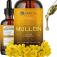 Mullein Leaf Extract 