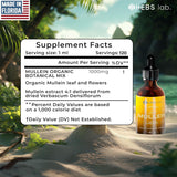 Mullein Leaf Extract - Supplement for Lung Health & Respiratory Support