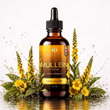 Mullein Leaf Extract - Supplement for Lung Health & Respiratory Support