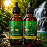 Poke Root Extract – Lymphatic Drainage Drops