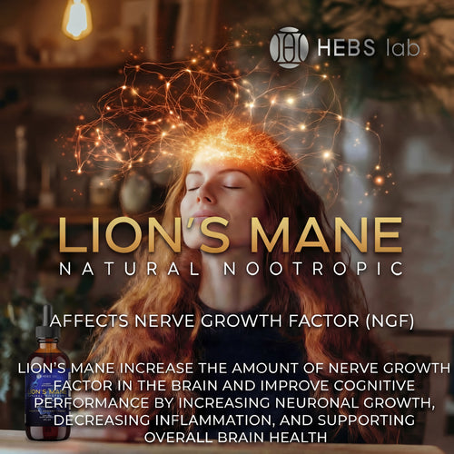 Lion's Mane Mushroom Tincture - Lions Mane Extract-Natural Nootropic