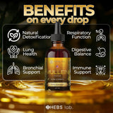 Mullein Leaf Extract - Supplement for Lung Health & Respiratory Support