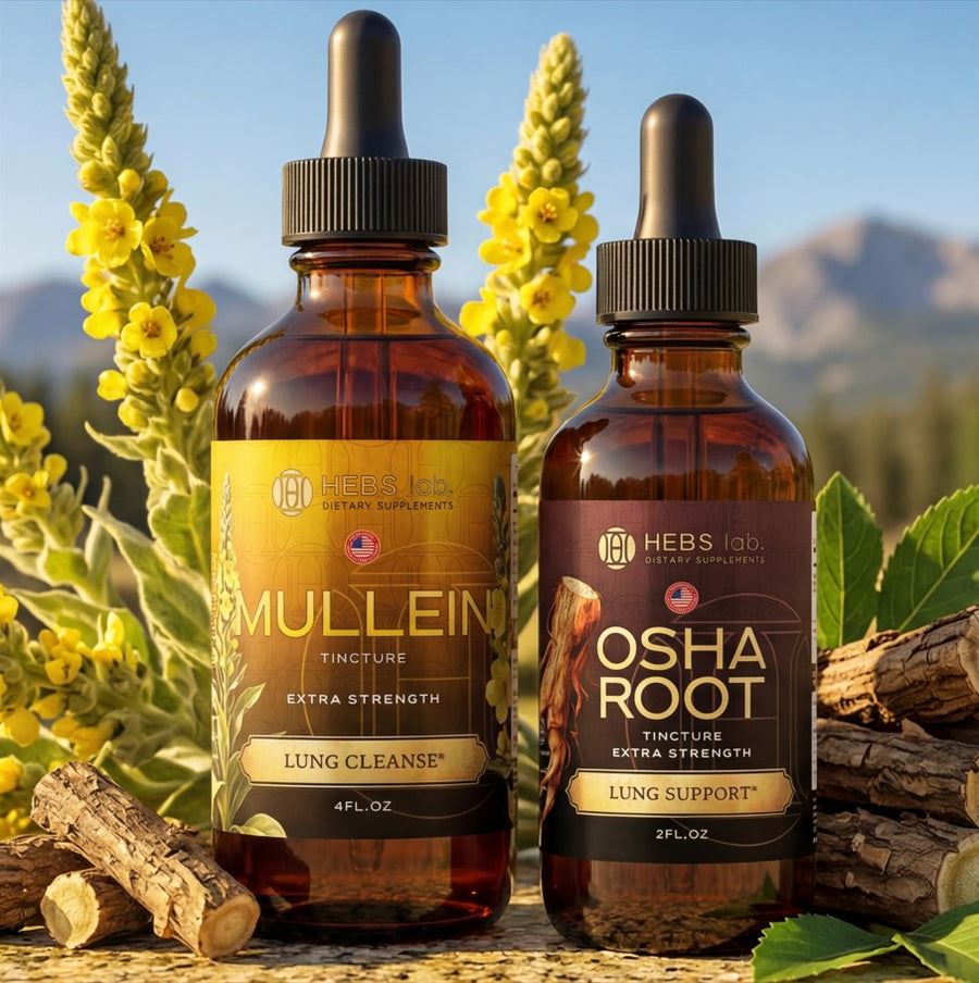 Mullein + OSHA Root — Respiratory & Lung Support Bundle