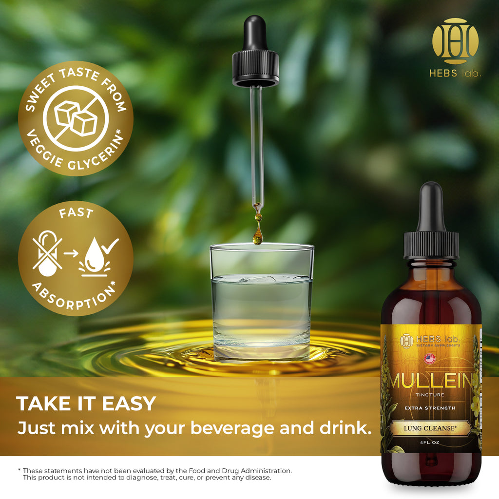 Mullein Leaf Extract - Supplement for Lung Health & Respiratory Support