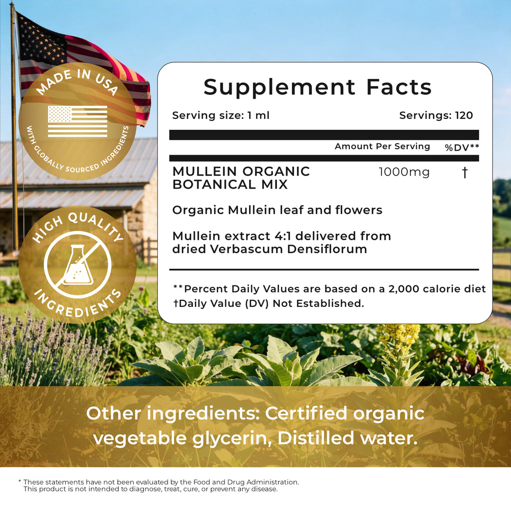 Mullein Leaf Extract - Supplement for Lung Health & Respiratory Support