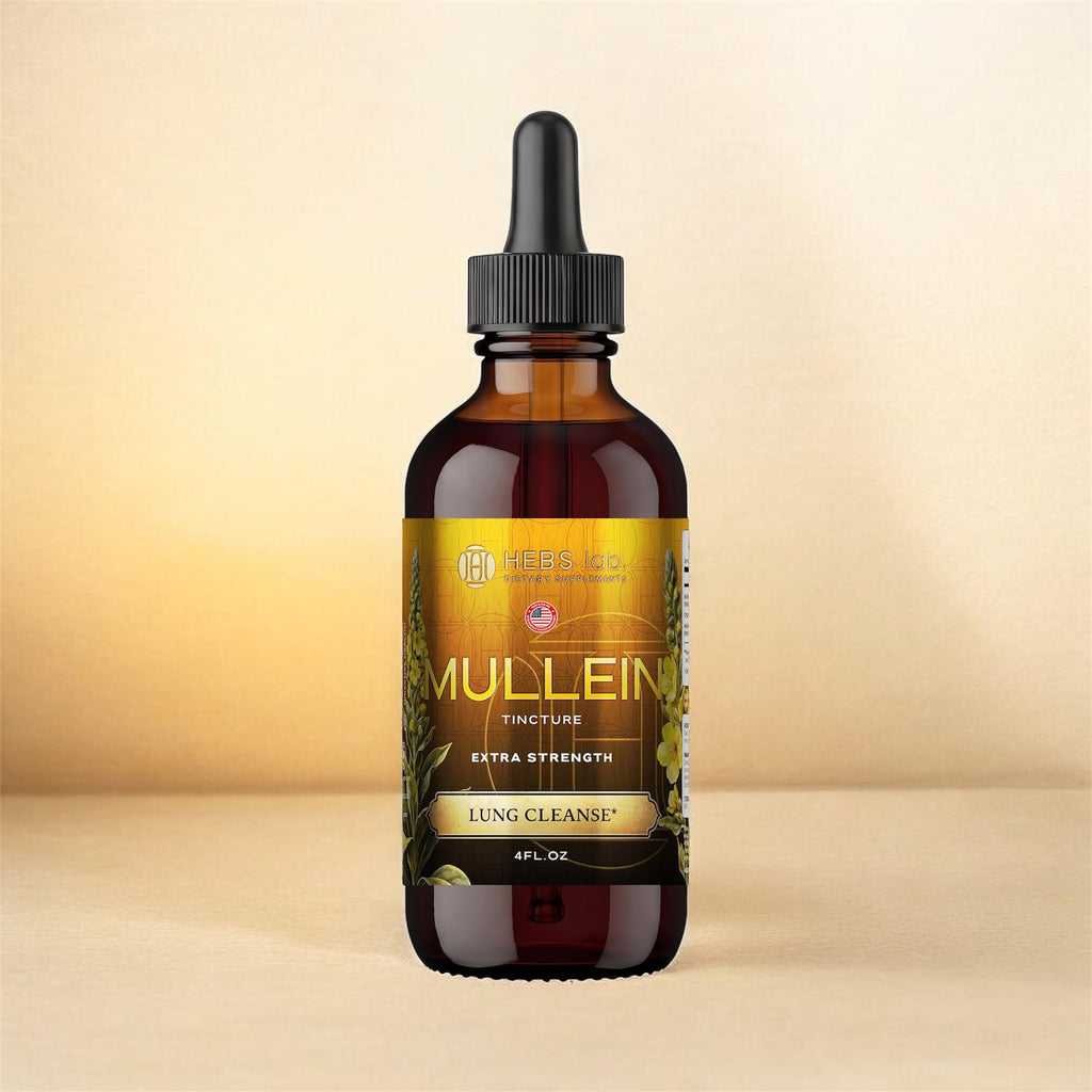 Mullein Leaf Extract - Supplement for Lung Health & Respiratory Support