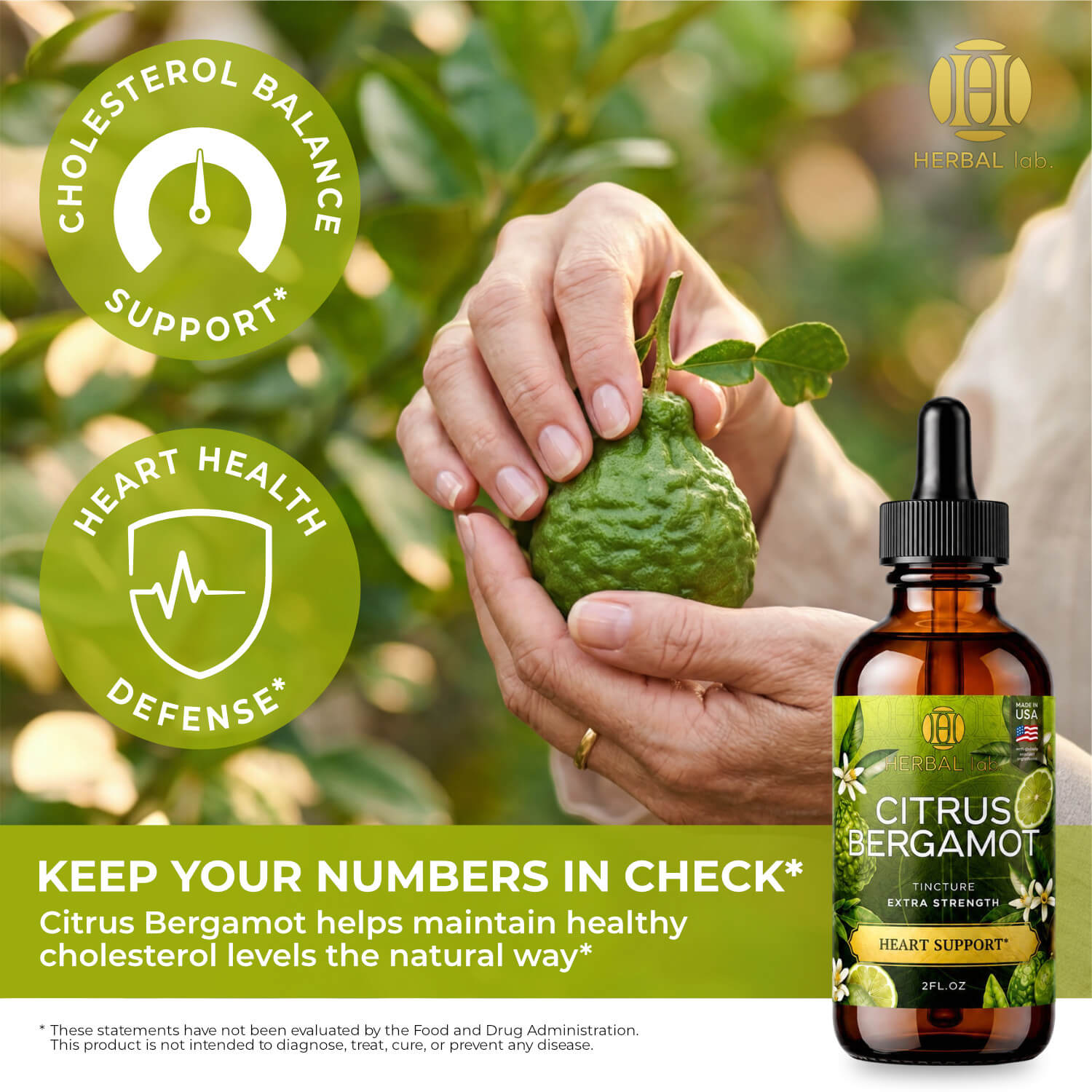 Citrus Bergamot Extract – Natural Antioxidant Support