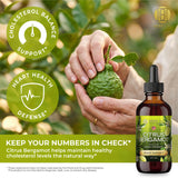 Citrus Bergamot Extract – Natural Antioxidant Support