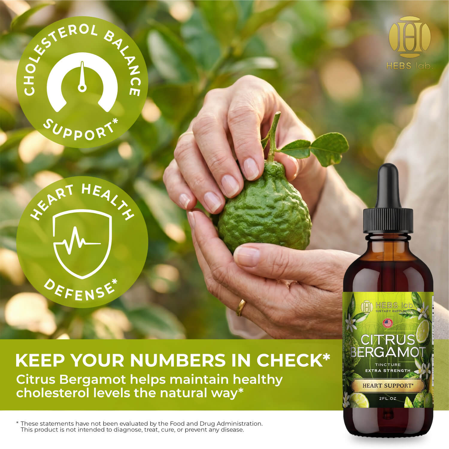 Citrus Bergamot Extract – Natural Antioxidant Support