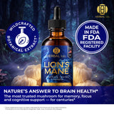 Lion's Mane Mushroom Tincture - Natural Nootropic - 120 Servings