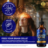 Lion's Mane Mushroom Tincture - Natural Nootropic - 120 Servings