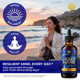 Lion's Mane Mushroom Tincture - Natural Nootropic - 120 Servings