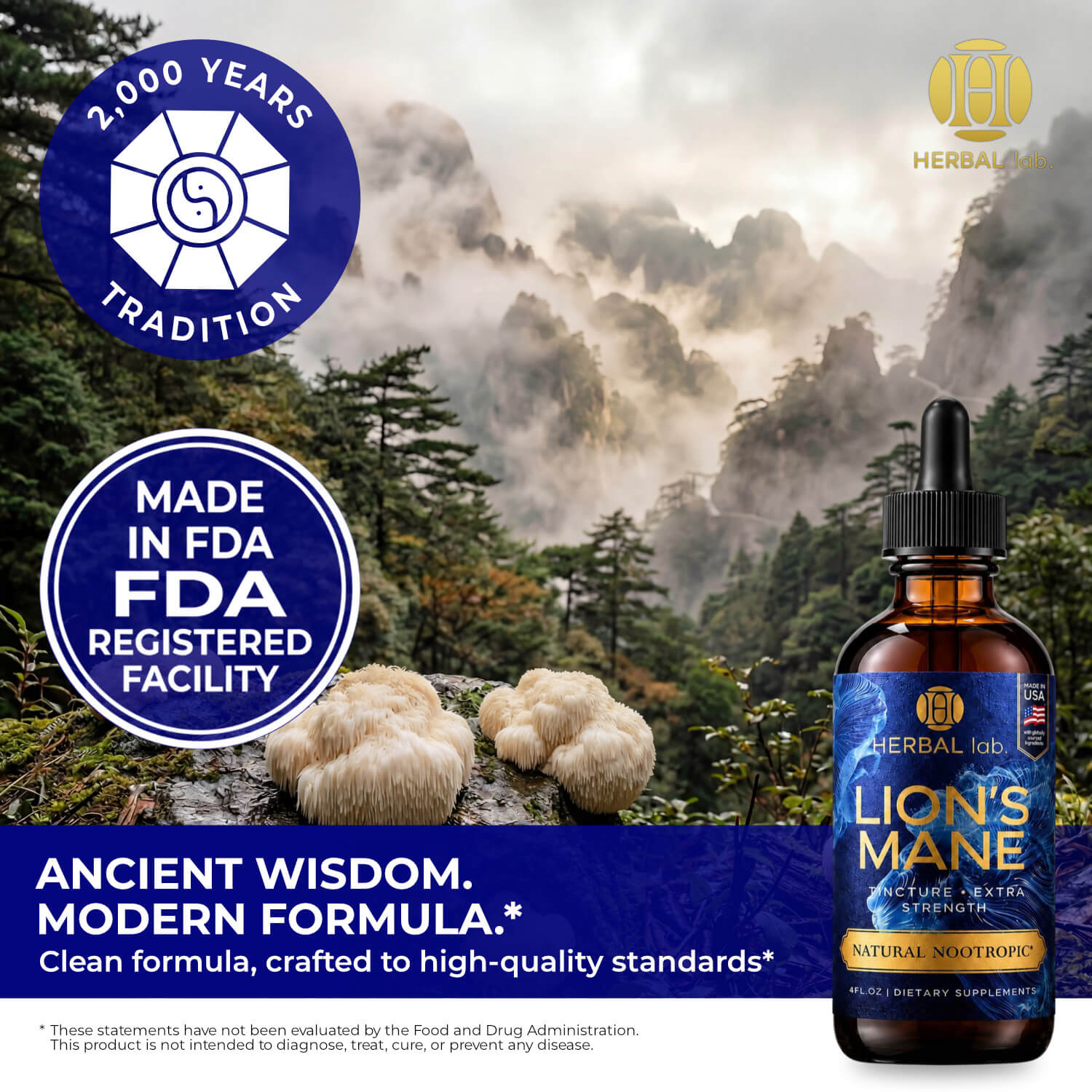 Lion's Mane Mushroom Tincture - Natural Nootropic - 120 Servings