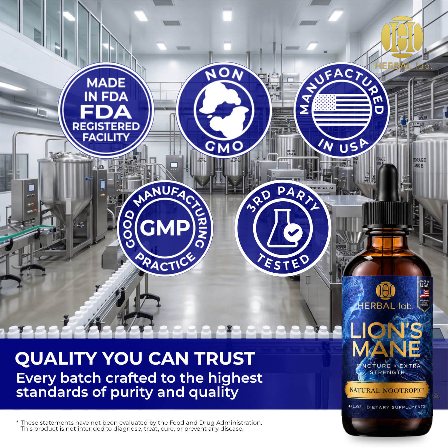Lion's Mane Mushroom Tincture - Natural Nootropic - 120 Servings