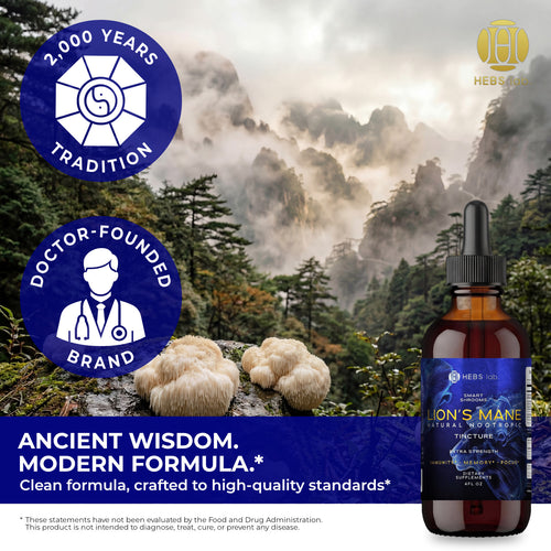 Lion's Mane Mushroom Tincture - Lions Mane Extract-Natural Nootropic