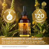Mullein Leaf Herbal Extract - Premium Botanical Liquid Drops