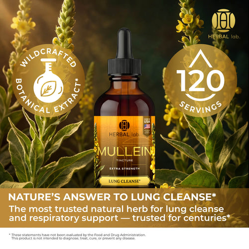 Mullein Leaf Extract - Supplement for Lung Health & Respiratory Support