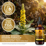 Mullein Leaf Herbal Extract - Premium Botanical Liquid Drops