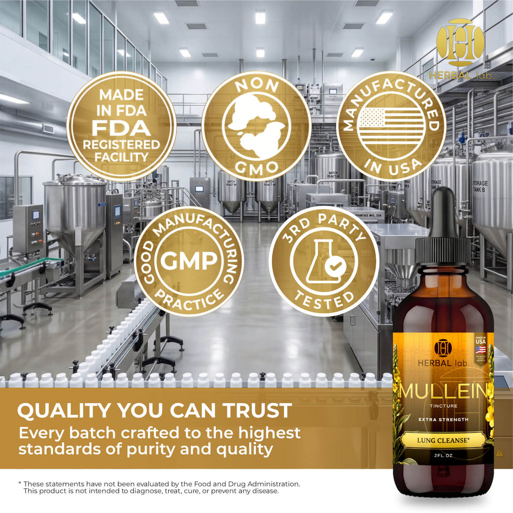 Mullein Leaf Herbal Extract - Premium Botanical Liquid Drops