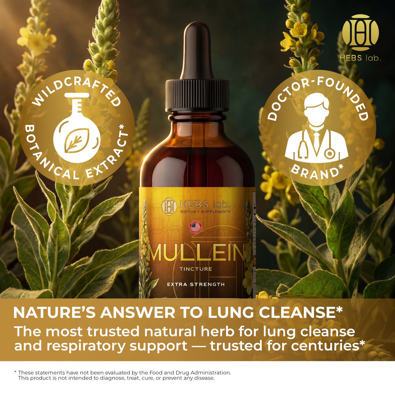 Mullein Leaf Extract - Supplement for Lung Health & Respiratory Support