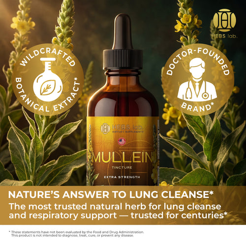 Mullein Leaf Extract - Supplement for Lung Health & Respiratory Support