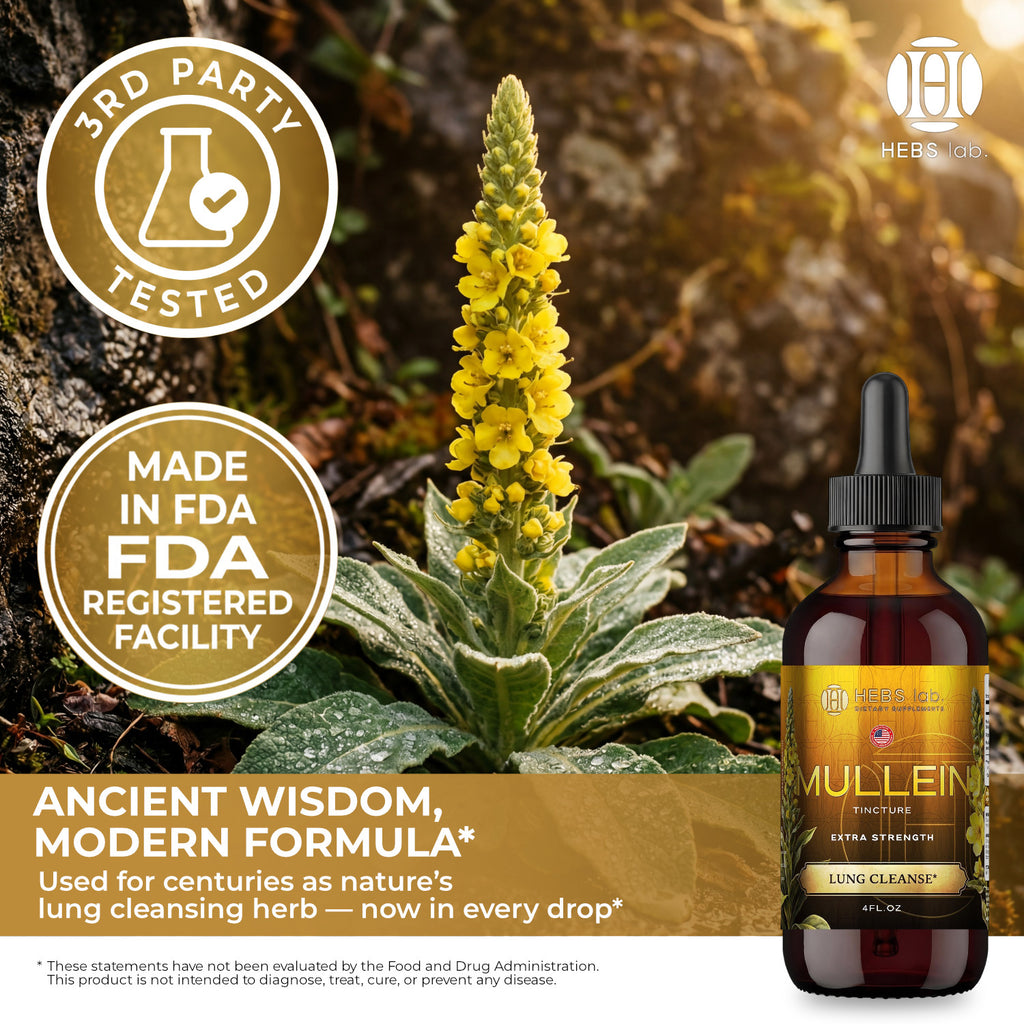 Mullein Leaf Extract - Supplement for Lung Health & Respiratory Support
