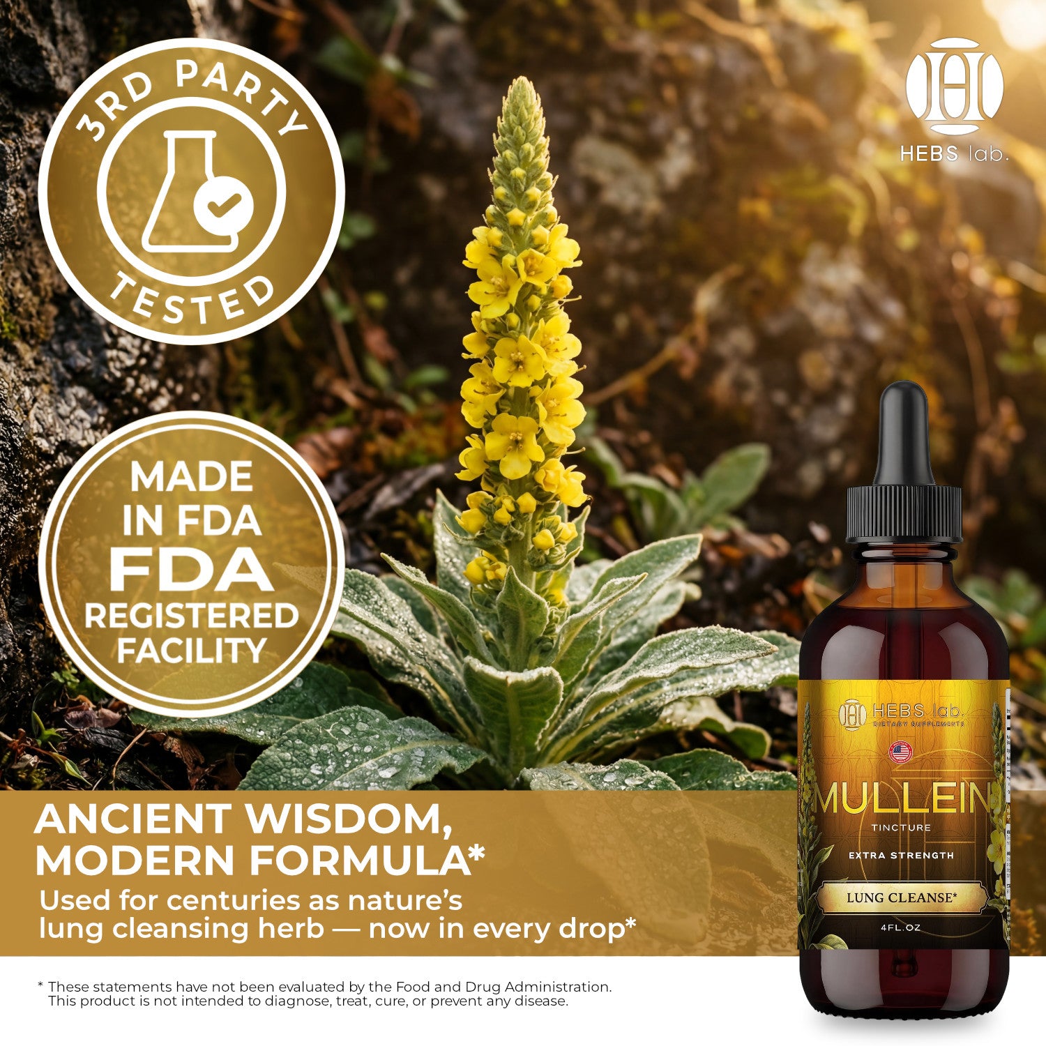 Mullein Leaf Extract - Supplement for Lung Health & Respiratory Support