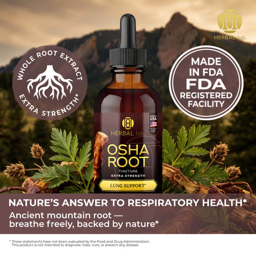 OSHA Root Herbal Tincture - Premium Botanical Liquid Drops