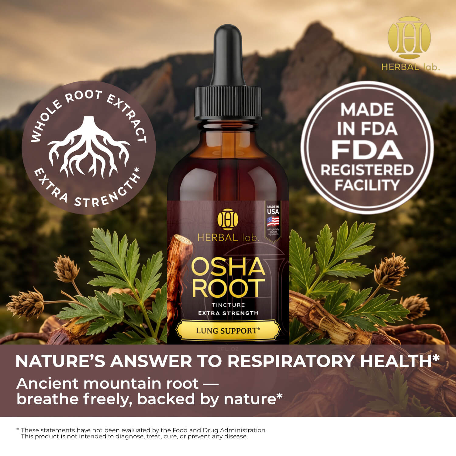 OSHA Root Tincture – Detox Herbal Supplement