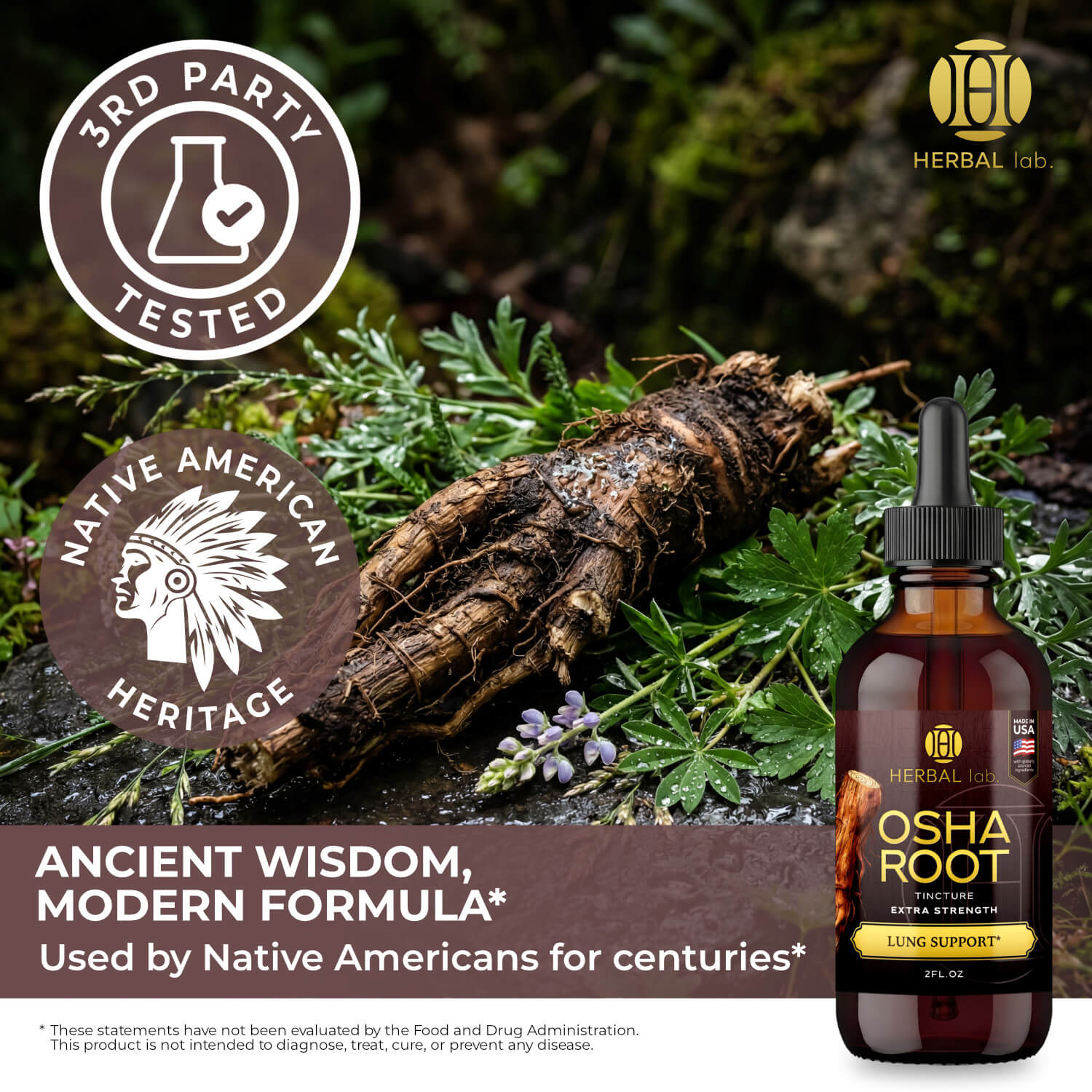 OSHA Root Tincture – Detox Herbal Supplement