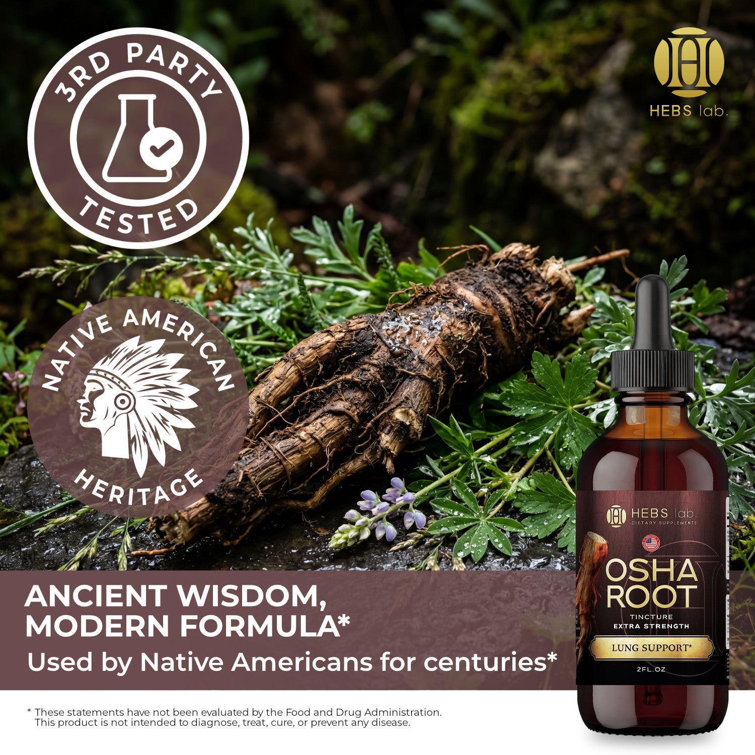 OSHA Root Tincture – Lung Detox Supplement