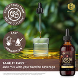 OSHA Root Tincture – Lung Detox Supplement