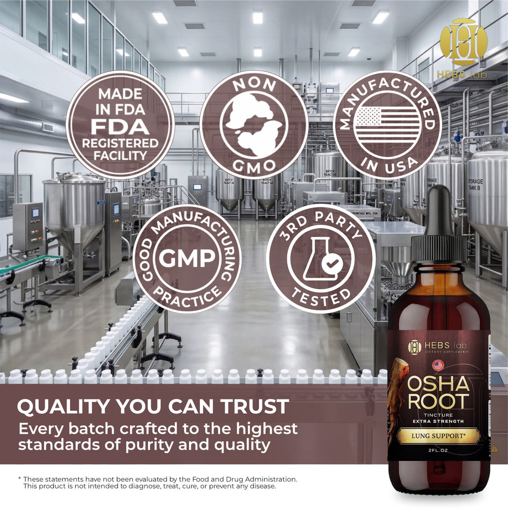 OSHA Root Tincture – Lung Detox Supplement