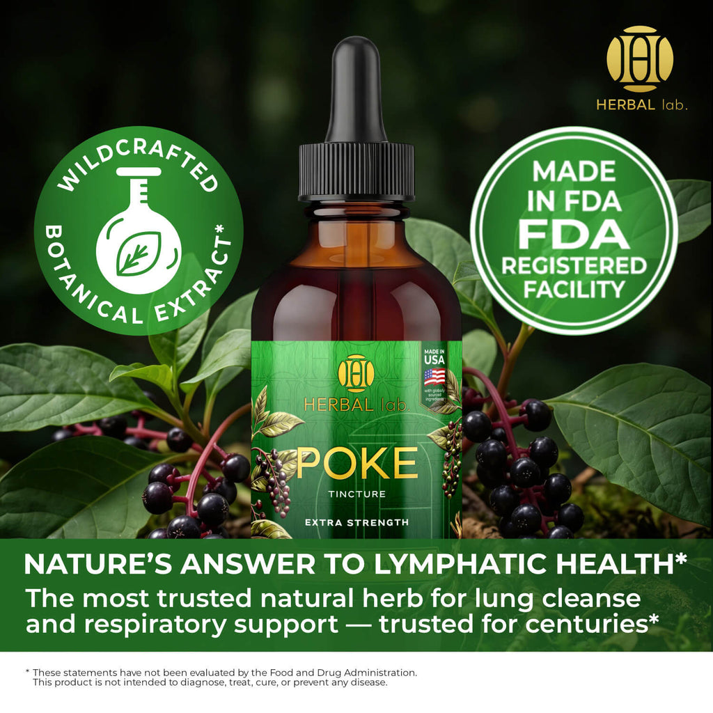 Poke Root Extract – Lymphatic Drainage Drops