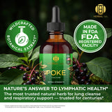 Poke Root Extract – Lymphatic Drainage Drops