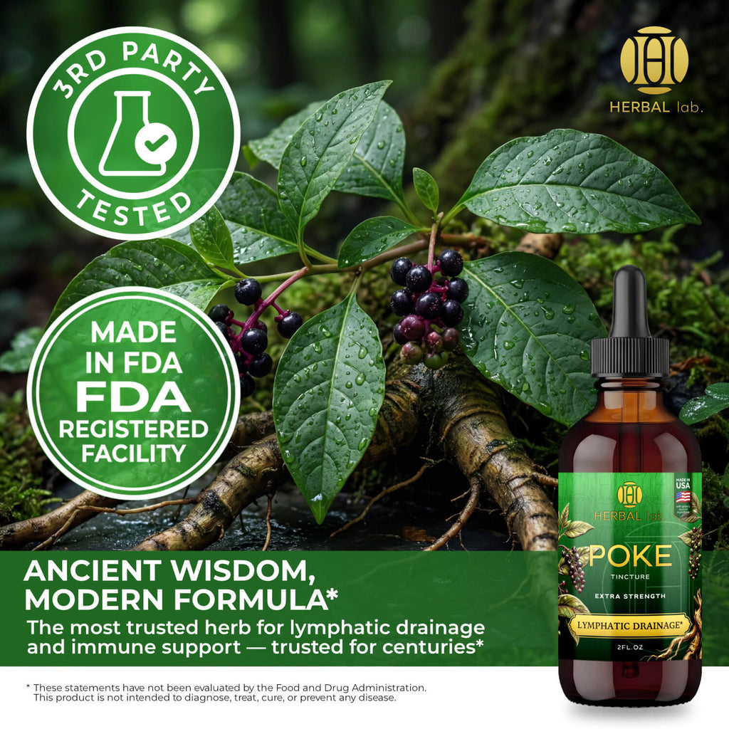 Poke Root Extract – Lymphatic Drainage Drops
