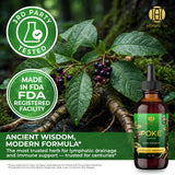 Poke Root Extract – Lymphatic Drainage Drops