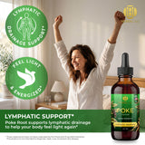 Poke Root Extract – Lymphatic Drainage Drops