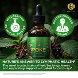 Poke Root Extract – Lymphatic Drainage Drops