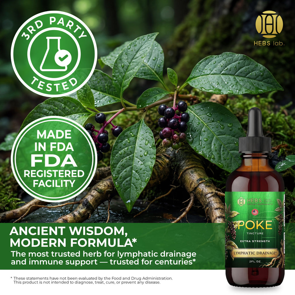 Poke Root Extract – Lymphatic Drainage Drops