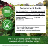 Poke Root Extract – Lymphatic Drainage Drops